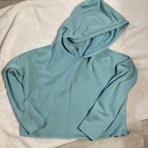 aerie crop sweatshirt/hoodie